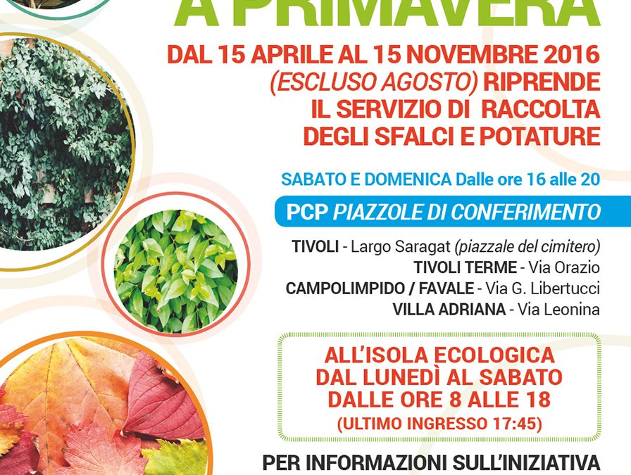 Raccolta verde a primavera…continua