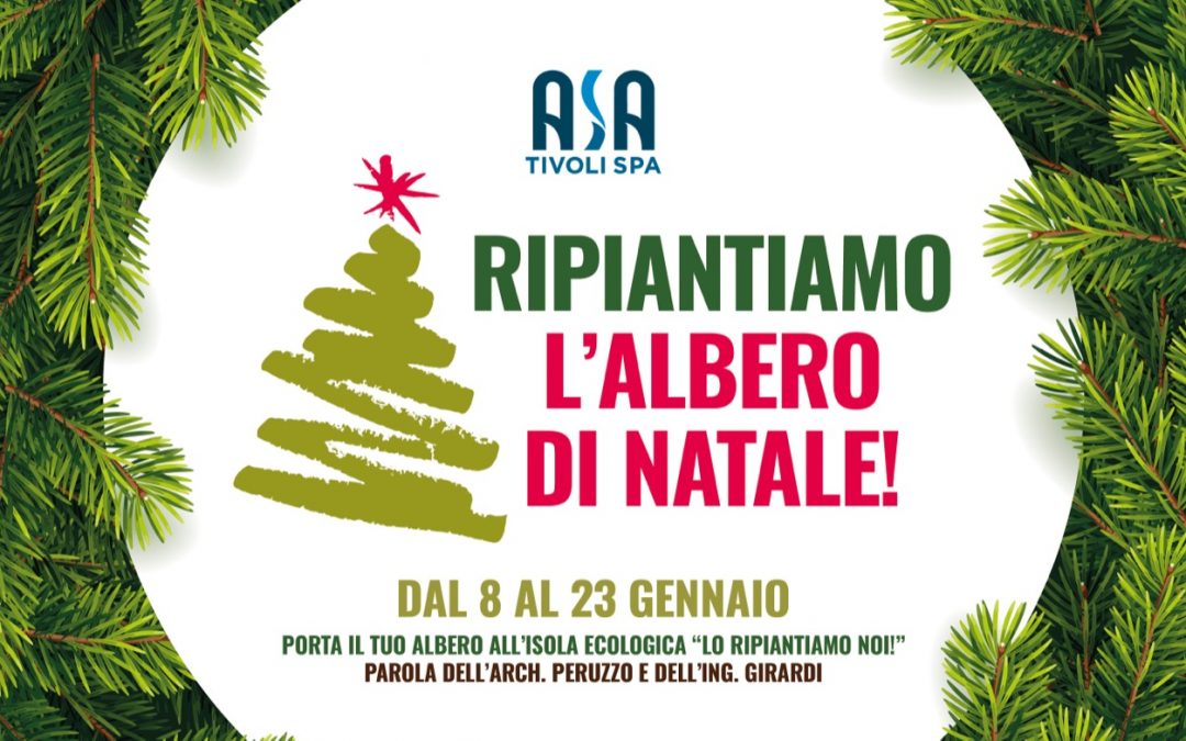 Nuova vita agli alberi di Natale!